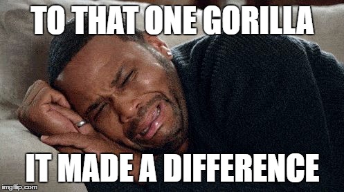 Crying | TO THAT ONE GORILLA IT MADE A DIFFERENCE | image tagged in crying | made w/ Imgflip meme maker