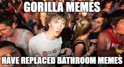 Sudden Clarity Clarence Meme | GORILLA MEMES; HAVE REPLACED BATHROOM MEMES | image tagged in memes,sudden clarity clarence | made w/ Imgflip meme maker