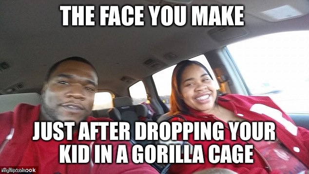 Harambe the gorilla | THE FACE YOU MAKE; JUST AFTER DROPPING YOUR KID IN A GORILLA CAGE | image tagged in harambe the gorilla | made w/ Imgflip meme maker