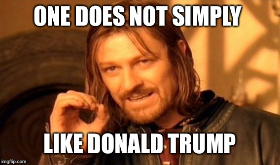 One Does Not Simply Meme | ONE DOES NOT SIMPLY; LIKE DONALD TRUMP | image tagged in memes,one does not simply | made w/ Imgflip meme maker