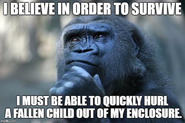Deep Thoughts | I BELIEVE IN ORDER TO SURVIVE; I MUST BE ABLE TO QUICKLY HURL A FALLEN CHILD OUT OF MY ENCLOSURE. | image tagged in thinking gorilla | made w/ Imgflip meme maker