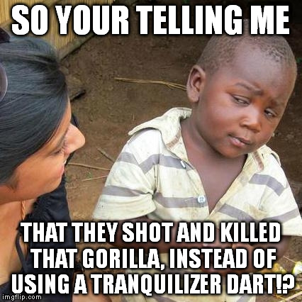 Third World Skeptical Kid Meme | SO YOUR TELLING ME; THAT THEY SHOT AND KILLED THAT GORILLA, INSTEAD OF USING A TRANQUILIZER DART!? | image tagged in memes,third world skeptical kid | made w/ Imgflip meme maker