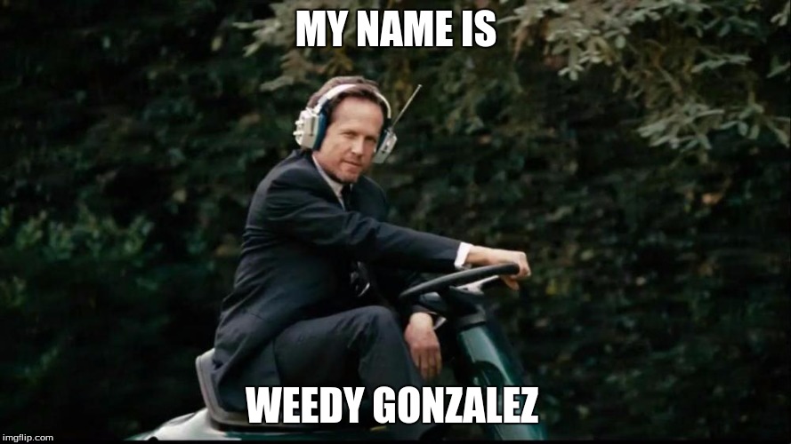 Mayhem Lawnmower | MY NAME IS; WEEDY GONZALEZ | image tagged in mayhem lawnmower | made w/ Imgflip meme maker