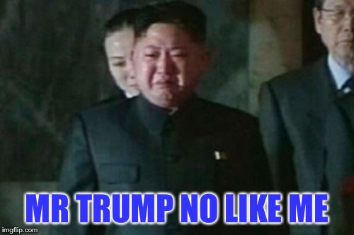 trump | MR TRUMP NO LIKE ME | image tagged in memes,kim jong un sad | made w/ Imgflip meme maker