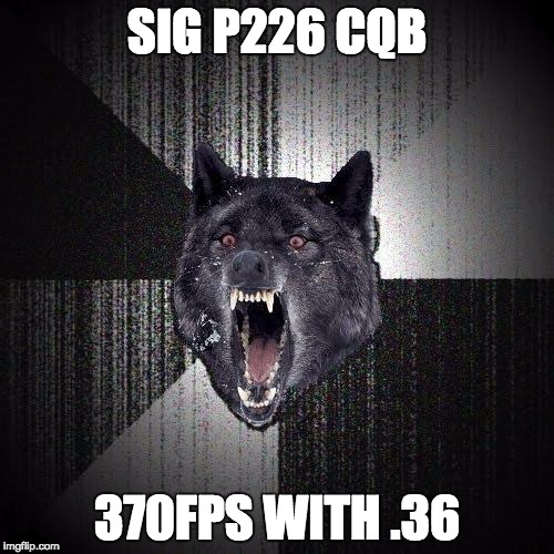 Insanity Wolf Meme | SIG P226 CQB; 370FPS WITH .36 | image tagged in memes,insanity wolf | made w/ Imgflip meme maker