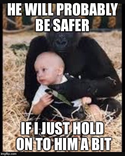 HE WILL PROBABLY BE SAFER IF I JUST HOLD ON TO HIM A BIT | made w/ Imgflip meme maker