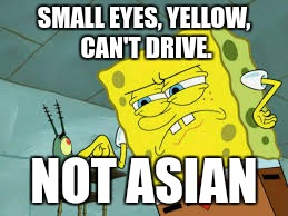SMALL EYES, YELLOW, CAN'T DRIVE. NOT ASIAN | image tagged in asian stereotypes | made w/ Imgflip meme maker