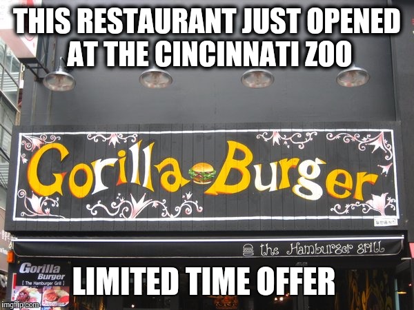 THIS RESTAURANT JUST OPENED AT THE CINCINNATI ZOO; LIMITED TIME OFFER | image tagged in gorilla burger | made w/ Imgflip meme maker