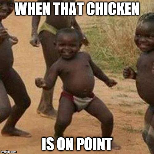 Third World Success Kid | WHEN THAT CHICKEN; IS ON POINT | image tagged in memes,third world success kid | made w/ Imgflip meme maker