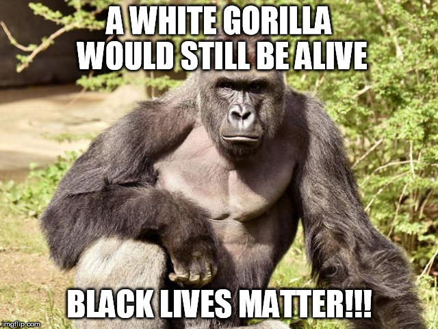 A WHITE GORILLA WOULD STILL BE ALIVE; BLACK LIVES MATTER!!! | image tagged in black lives matter,harambe | made w/ Imgflip meme maker