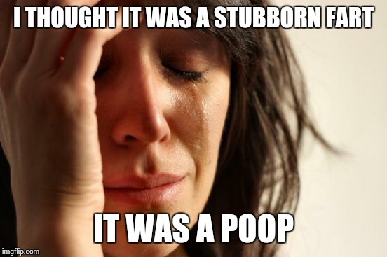 First World Problems | I THOUGHT IT WAS A STUBBORN FART; IT WAS A POOP | image tagged in memes,first world problems | made w/ Imgflip meme maker