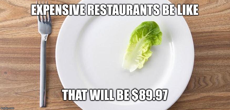 Single Leaf of Lettuce | EXPENSIVE RESTAURANTS BE LIKE; THAT WILL BE $89.97 | image tagged in single leaf of lettuce | made w/ Imgflip meme maker