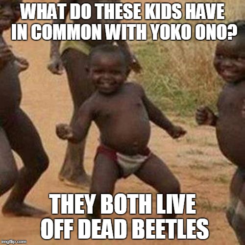 Third World Success Kid | WHAT DO THESE KIDS HAVE IN COMMON WITH YOKO ONO? THEY BOTH LIVE OFF DEAD BEETLES | image tagged in memes,third world success kid | made w/ Imgflip meme maker