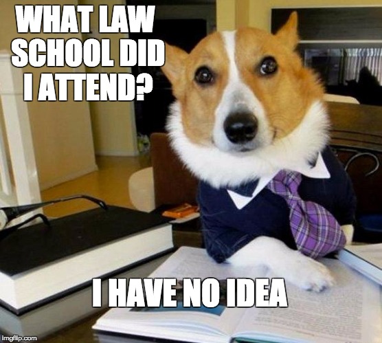 Lawyer dog | WHAT LAW SCHOOL DID I ATTEND? I HAVE NO IDEA | image tagged in lawyer dog | made w/ Imgflip meme maker