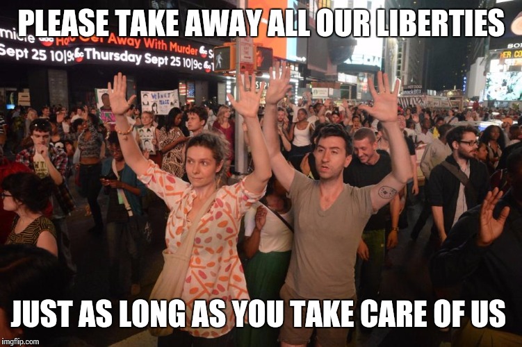 The Uninformed, Liberals | PLEASE TAKE AWAY ALL OUR LIBERTIES; JUST AS LONG AS YOU TAKE CARE OF US | image tagged in liberal millenials,liberals,socialism | made w/ Imgflip meme maker