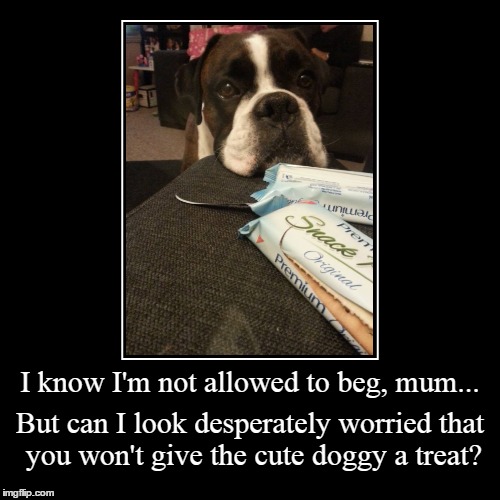 Begging is not allowed! | image tagged in funny,demotivationals,memes | made w/ Imgflip demotivational maker