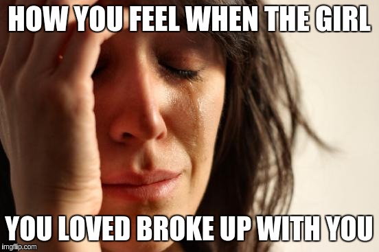 First World Problems | HOW YOU FEEL WHEN THE GIRL; YOU LOVED BROKE UP WITH YOU | image tagged in memes,first world problems | made w/ Imgflip meme maker