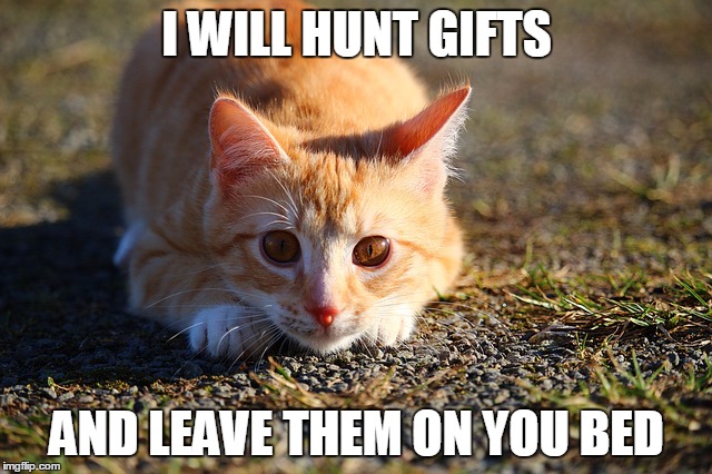 I WILL HUNT GIFTS; AND LEAVE THEM ON YOU BED | image tagged in cats,cat,cat meme,hunter | made w/ Imgflip meme maker