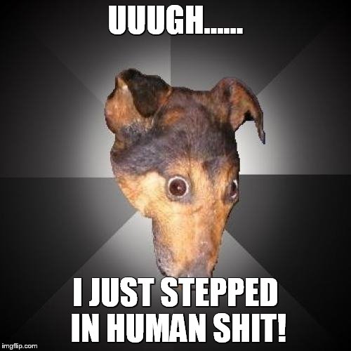 Depression Dog | UUUGH...... I JUST STEPPED IN HUMAN SHIT! | image tagged in memes,depression dog | made w/ Imgflip meme maker