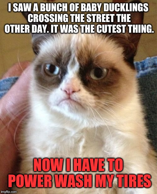 No ducklings were harmed in the making of this meme.. Or were they? | I SAW A BUNCH OF BABY DUCKLINGS CROSSING THE STREET THE OTHER DAY. IT WAS THE CUTEST THING. NOW I HAVE TO POWER WASH MY TIRES | image tagged in memes,grumpy cat,funny,cute,baby ducklings | made w/ Imgflip meme maker