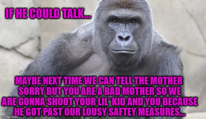 Cincy Gorill | IF HE COULD TALK... MAYBE NEXT TIME WE CAN TELL THE MOTHER SORRY BUT YOU ARE A BAD MOTHER SO WE ARE GONNA SHOOT YOUR LIL' KID AND YOU BECAUSE HE GOT PAST OUR LOUSY SAFTEY MEASURES... | image tagged in cincy gorilla | made w/ Imgflip meme maker