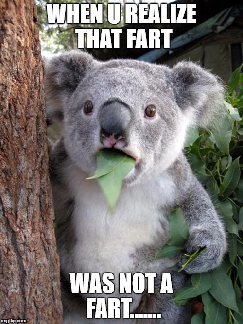 Surprised Koala Meme | WHEN U REALIZE THAT FART; WAS NOT A FART....... | image tagged in memes,surprised koala | made w/ Imgflip meme maker