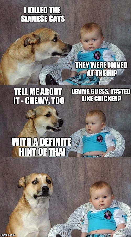 Dad Joke Dog | I KILLED THE SIAMESE CATS; THEY WERE JOINED AT THE HIP; LEMME GUESS. TASTED LIKE CHICKEN? TELL ME ABOUT IT - CHEWY, TOO; WITH A DEFINITE HINT OF THAI | image tagged in memes,dad joke dog | made w/ Imgflip meme maker