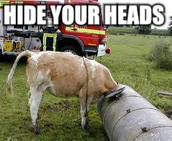 HIDE YOUR HEADS | made w/ Imgflip meme maker