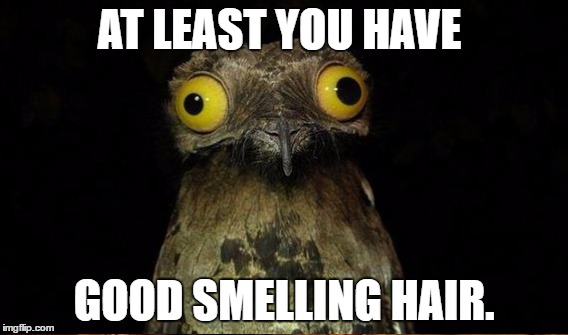 AT LEAST YOU HAVE GOOD SMELLING HAIR. | made w/ Imgflip meme maker