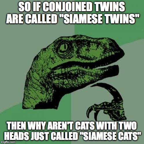 When I think "Siamese cat", I always picture a cat with two heads because of this theory. Lol | SO IF CONJOINED TWINS ARE CALLED "SIAMESE TWINS"; THEN WHY AREN'T CATS WITH TWO HEADS JUST CALLED "SIAMESE CATS" | image tagged in memes,philosoraptor,twins,deep thoughts,curious,question | made w/ Imgflip meme maker