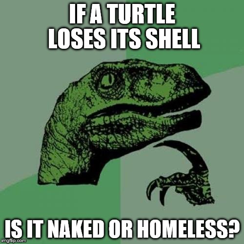 Philosoraptor Meme | IF A TURTLE LOSES ITS SHELL; IS IT NAKED OR HOMELESS? | image tagged in memes,philosoraptor | made w/ Imgflip meme maker