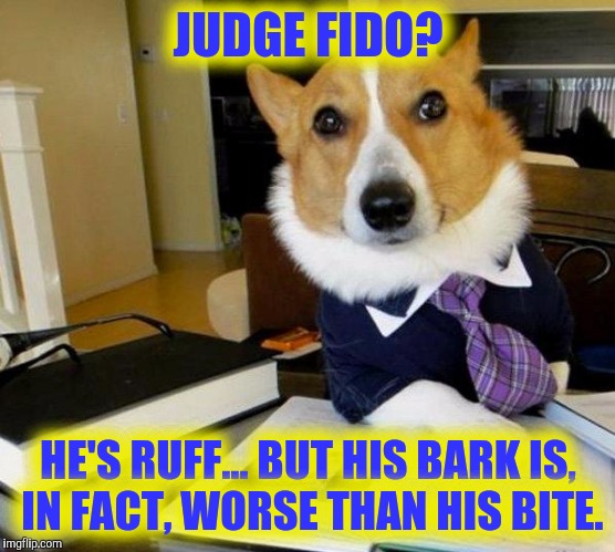 Lawyer dog | JUDGE FIDO? HE'S RUFF... BUT HIS BARK IS, IN FACT, WORSE THAN HIS BITE. | image tagged in lawyer dog | made w/ Imgflip meme maker