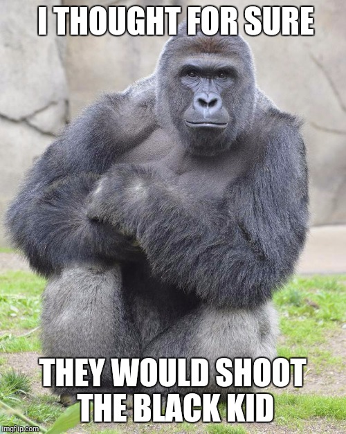 Harambe | I THOUGHT FOR SURE; THEY WOULD SHOOT THE BLACK KID | image tagged in harambe | made w/ Imgflip meme maker