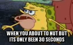 not long enough | WHEN YOU ABOUT TO NUT BUT ITS ONLY BEEN 30 SECONDS | image tagged in spongegar meme | made w/ Imgflip meme maker