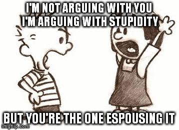 Ha, | I'M NOT ARGUING WITH YOU I'M ARGUING WITH STUPIDITY; BUT YOU'RE THE ONE ESPOUSING IT | image tagged in calvin and hobbes,memes,funny,arguing,stupidity | made w/ Imgflip meme maker
