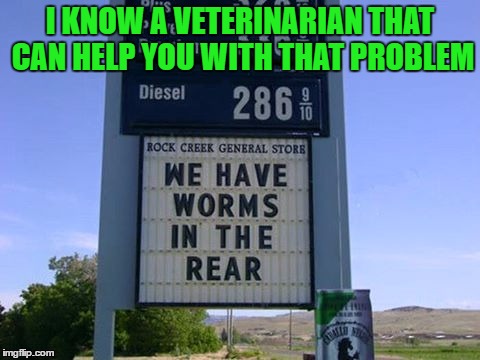 Glad They Aren't In The Front | I KNOW A VETERINARIAN THAT CAN HELP YOU WITH THAT PROBLEM | image tagged in wormy,memes,lol,lynch1979 | made w/ Imgflip meme maker