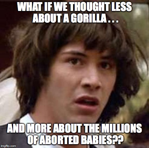 Conspiracy Keanu | WHAT IF WE THOUGHT LESS ABOUT A GORILLA . . . AND MORE ABOUT THE MILLIONS OF ABORTED BABIES?? | image tagged in memes,conspiracy keanu | made w/ Imgflip meme maker