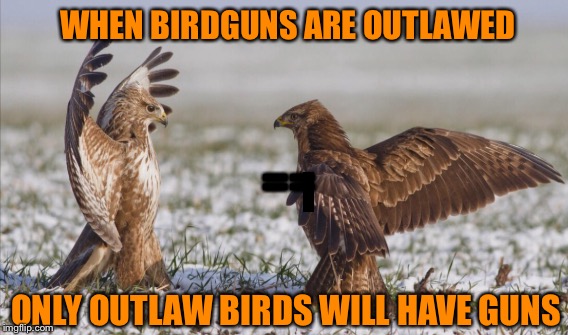 The Right To Arm Birds | WHEN BIRDGUNS ARE OUTLAWED; ==; I; ONLY OUTLAW BIRDS WILL HAVE GUNS | image tagged in memes | made w/ Imgflip meme maker