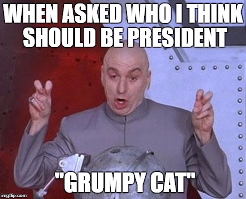 Mayor Stubbs from Talkeetna, Alaska could be his running mate | WHEN ASKED WHO I THINK SHOULD BE PRESIDENT; "GRUMPY CAT" | image tagged in memes,dr evil laser,election 2016 | made w/ Imgflip meme maker