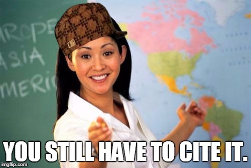 YOU STILL HAVE TO CITE IT. | image tagged in scumbag | made w/ Imgflip meme maker