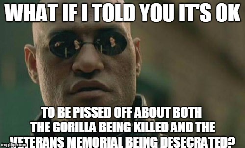 Matrix Morpheus | WHAT IF I TOLD YOU IT'S OK; TO BE PISSED OFF ABOUT BOTH THE GORILLA BEING KILLED AND THE VETERANS MEMORIAL BEING DESECRATED? | image tagged in memes,matrix morpheus | made w/ Imgflip meme maker