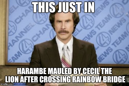 sometimes it just isn't your day | THIS JUST IN; HARAMBE MAULED BY CECIL THE LION AFTER CROSSING RAINBOW BRIDGE | image tagged in memes,ron burgundy,harambe,cecil the lion | made w/ Imgflip meme maker