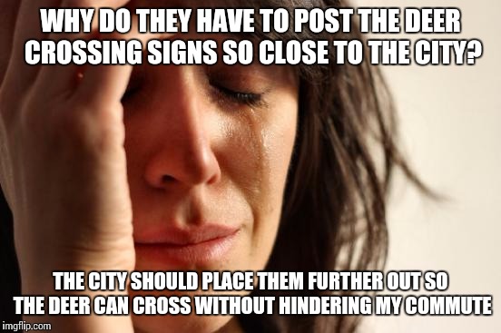 First World Problems Meme | WHY DO THEY HAVE TO POST THE DEER CROSSING SIGNS SO CLOSE TO THE CITY? THE CITY SHOULD PLACE THEM FURTHER OUT SO THE DEER CAN CROSS WITHOUT HINDERING MY COMMUTE | image tagged in memes,first world problems | made w/ Imgflip meme maker