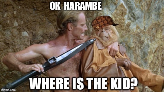 Get your stinking paws off the kid, you damn dirty ape! | OK  HARAMBE; WHERE IS THE KID? | image tagged in apes,scumbag,harambe | made w/ Imgflip meme maker