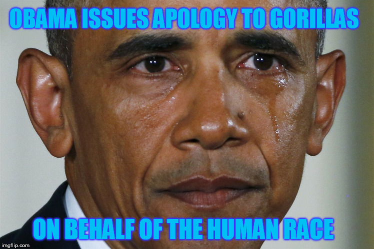 Credit to Socrates for the inspiration of this meme
 |  OBAMA ISSUES APOLOGY TO GORILLAS; ON BEHALF OF THE HUMAN RACE | image tagged in obama crying,gorilla,cincinnatie zoo,obama apology | made w/ Imgflip meme maker