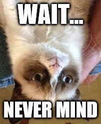 Grumpy Cat Happy Meme | WAIT... NEVER MIND | image tagged in grumpy cat smile | made w/ Imgflip meme maker