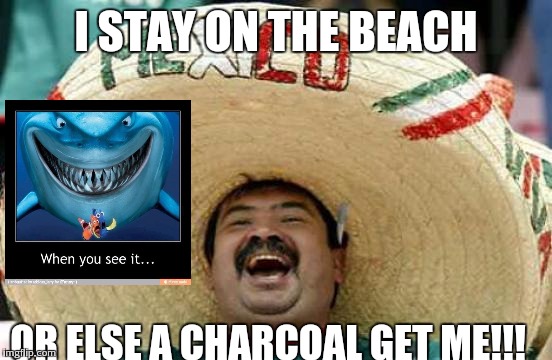Mexican word of the day: Charcoal | I STAY ON THE BEACH; OR ELSE A CHARCOAL GET ME!!! | image tagged in happy mexican | made w/ Imgflip meme maker