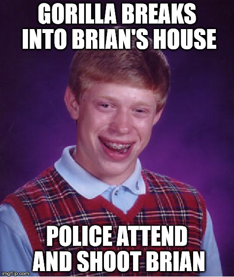 Bad Luck Brian Meme | GORILLA BREAKS INTO BRIAN'S HOUSE; POLICE ATTEND AND SHOOT BRIAN | image tagged in memes,bad luck brian | made w/ Imgflip meme maker