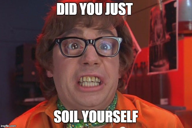 Austin Powers | DID YOU JUST SOIL YOURSELF | image tagged in austin powers | made w/ Imgflip meme maker