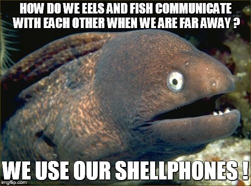 Bad Joke Eel Meme | HOW DO WE EELS AND FISH COMMUNICATE WITH EACH OTHER WHEN WE ARE FAR AWAY ? WE USE OUR SHELLPHONES ! | image tagged in memes,bad joke eel | made w/ Imgflip meme maker